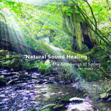 Natural Sound Healing - The Bird Songs of Spring