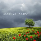 Angel of Destiny - Acoustic Unplugged