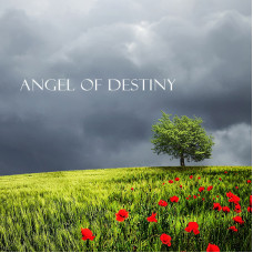 Angel of Destiny - Acoustic Unplugged